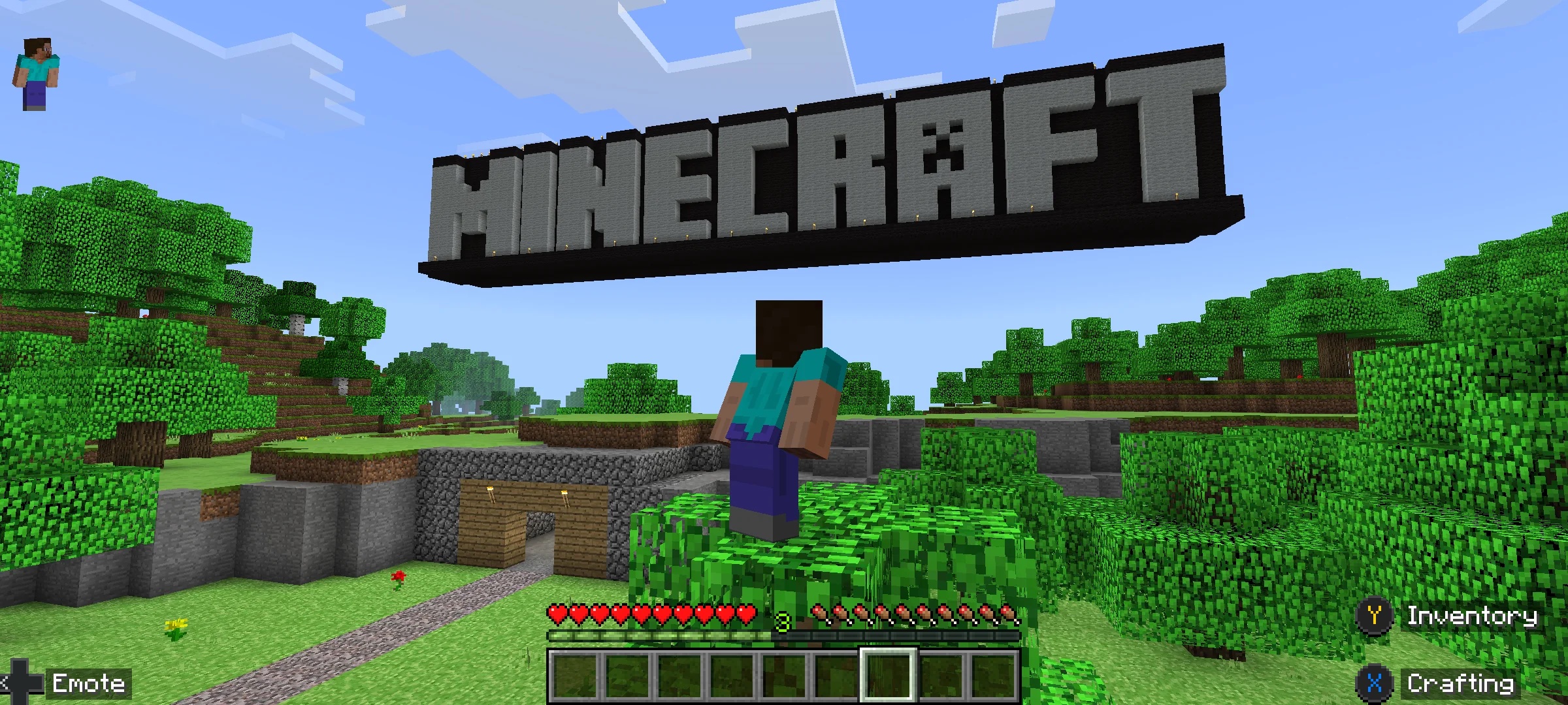 Minecraft cover 2